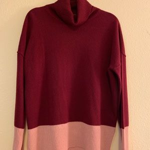 Max Studio 100% 2 Ply Cashmere Turtleneck Sweater
